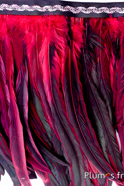 Col coq bordure argentée - long. plumes 25-32 cm - noir-carmin